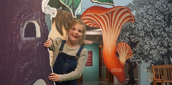 boom roos vis, over leren lezen en leesplezier